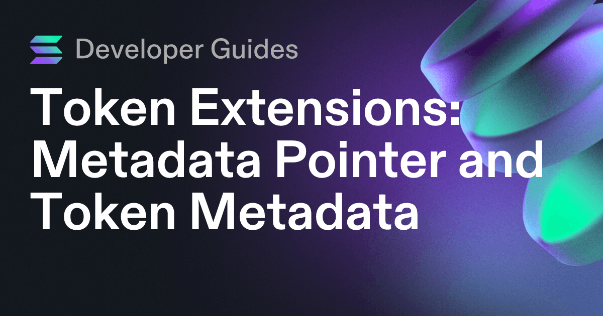 How to use the Metadata Pointer extension